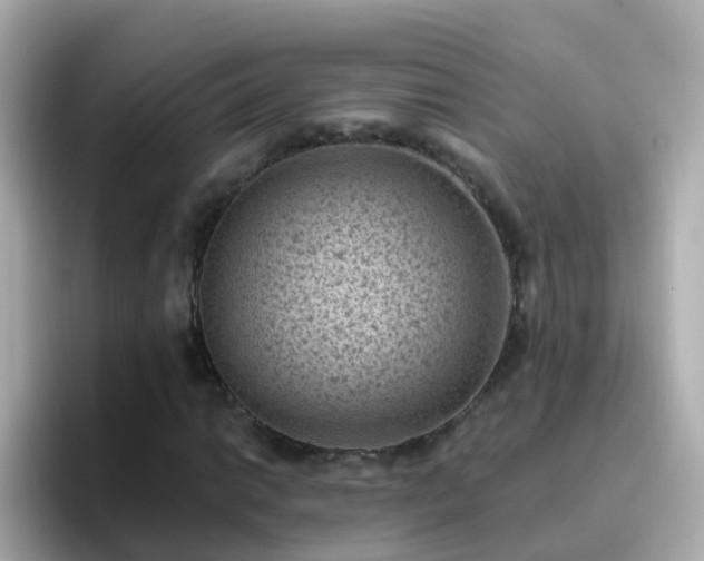 X0000096681014200802121207