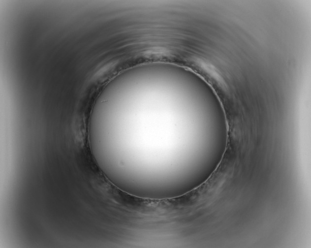 X0000096681015200802121207