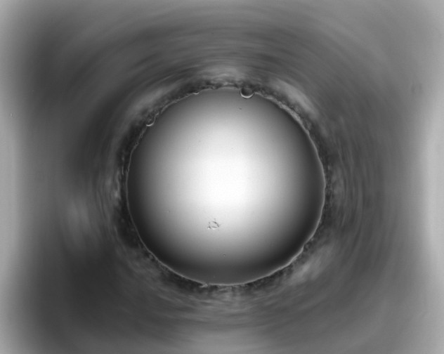 X0000096681016200802121207