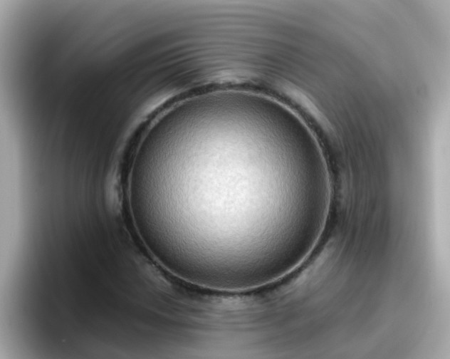 X0000096681018200802121207