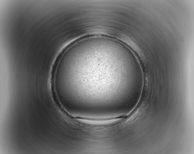 X0000096681020200802121207