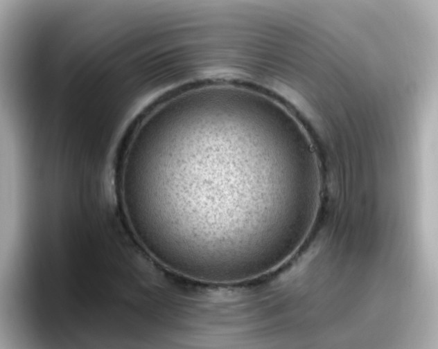 X0000096681022200802121207
