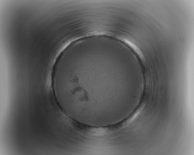 X0000096681023200802121207