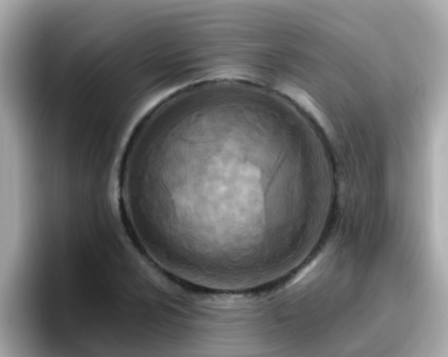 X0000096681024200802121207