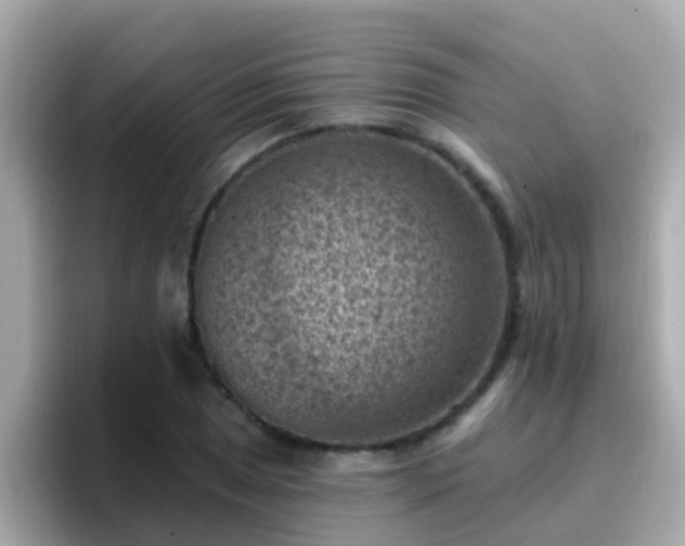 X0000096681025200802121207