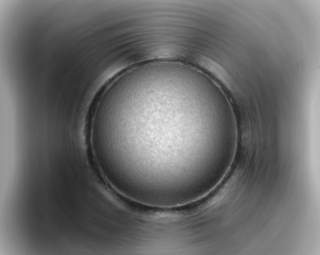 X0000096681026200802121207