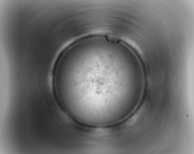 X0000096681029200802121207