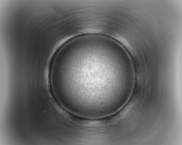 X0000096681030200802121207