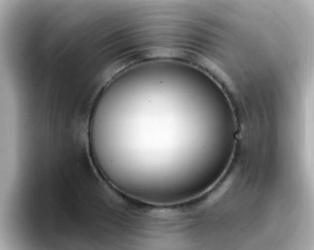 X0000096681033200802121207