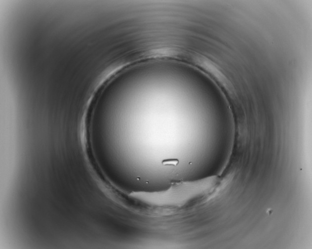 X0000096681034200802121207