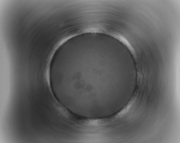 X0000096681035200802121207