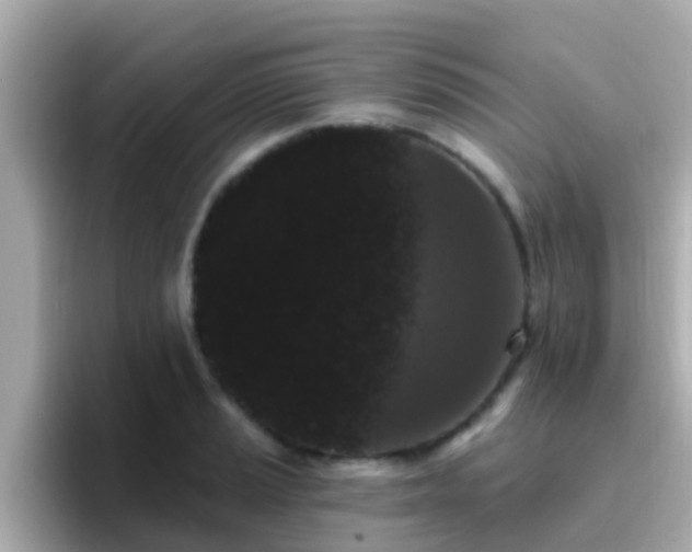 X0000096681037200802121207