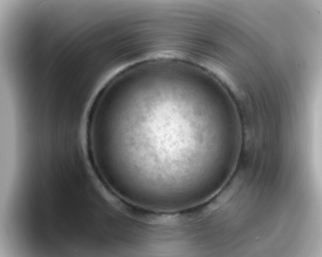 X0000096681038200802121207