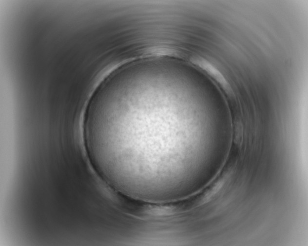 X0000096681039200802121207