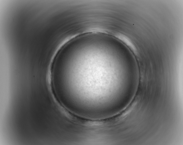 X0000096681040200802121207