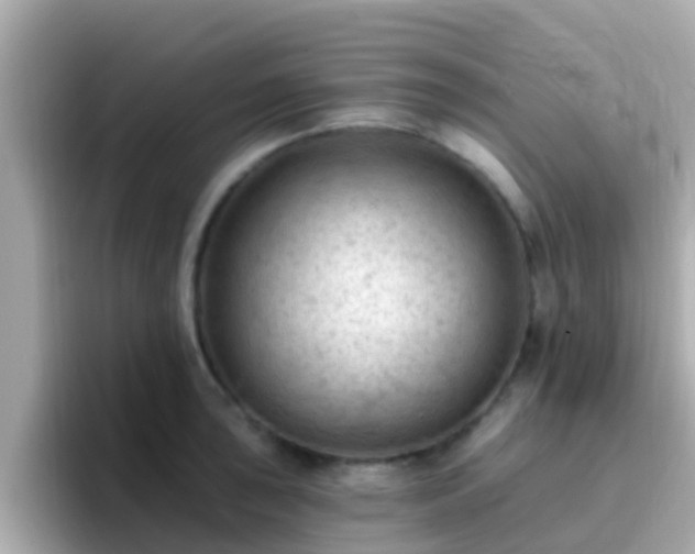 X0000096681043200802121208