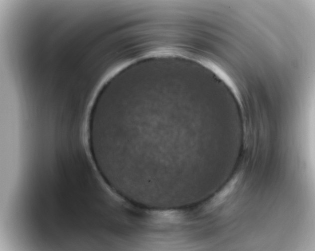 X0000096681045200802121208