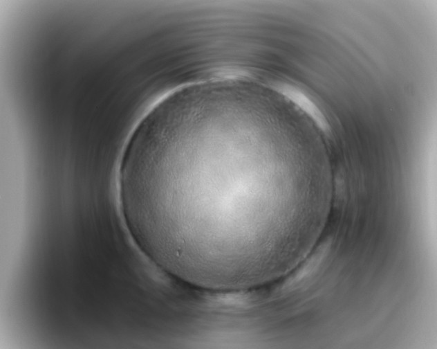 X0000096681047200802121208