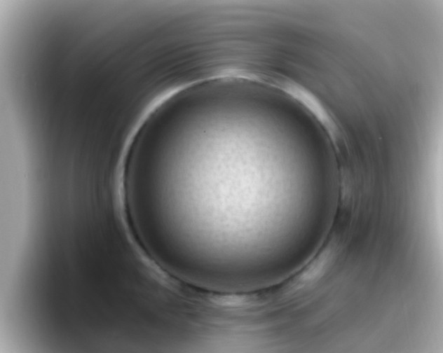 X0000096681048200802121208