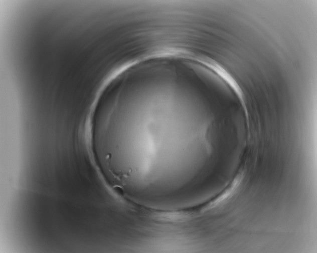 X0000096681053200802121208