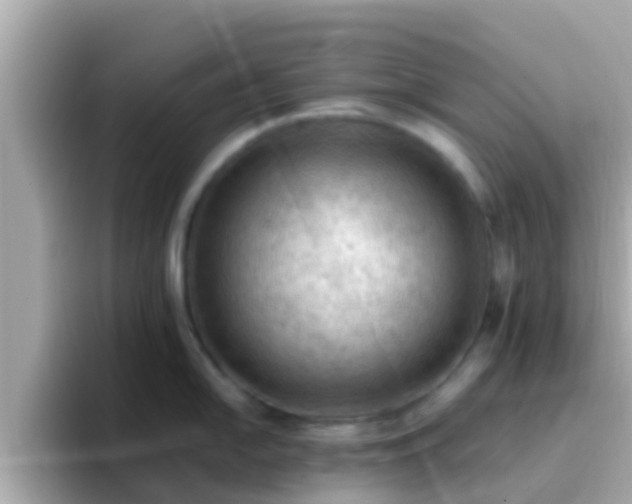 X0000096681054200802121208