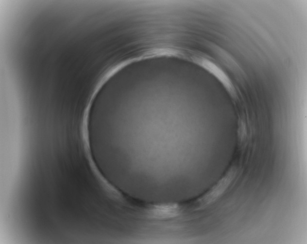 X0000096681055200802121208