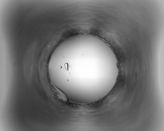 X0000096681057200802121207