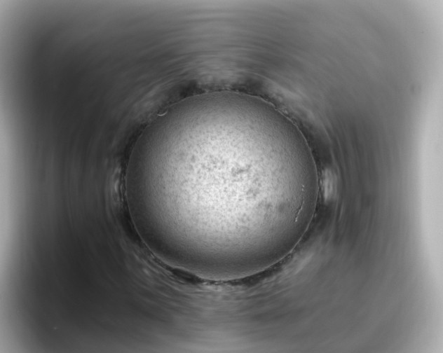 X0000096681059200802121207