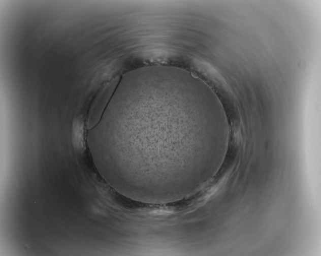 X0000096681060200802121207