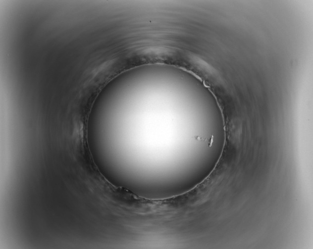X0000096681061200802121207