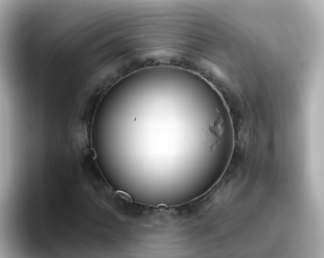 X0000096681062200802121207