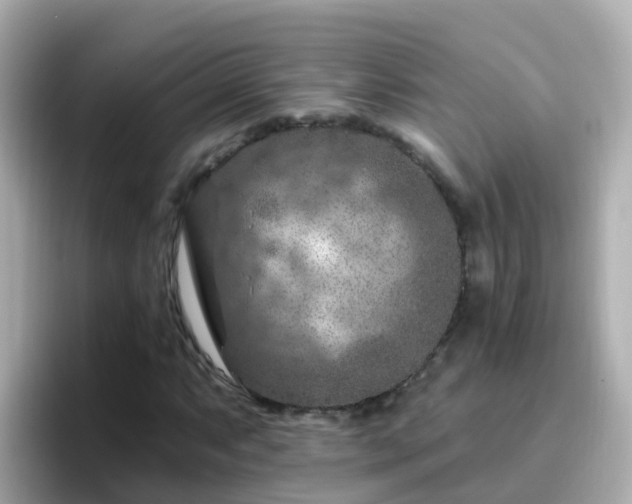 X0000096681063200802121207