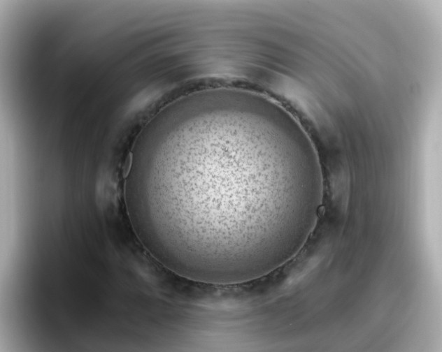 X0000096681064200802121207