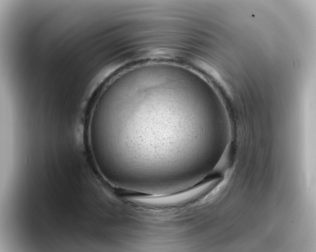 X0000096681066200802121207