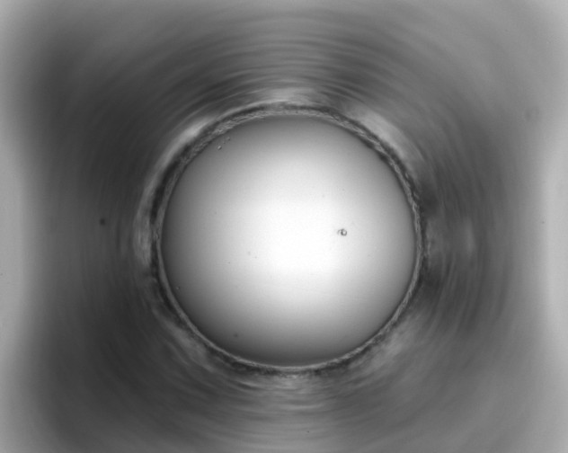 X0000096681067200802121207