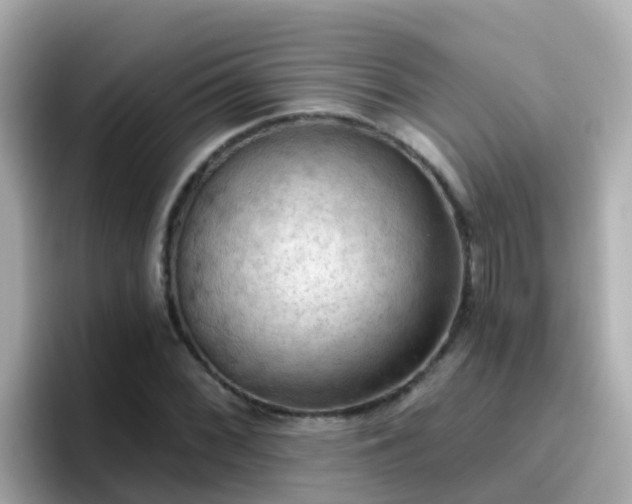 X0000096681068200802121207