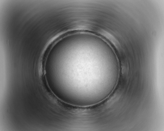 X0000096681069200802121207