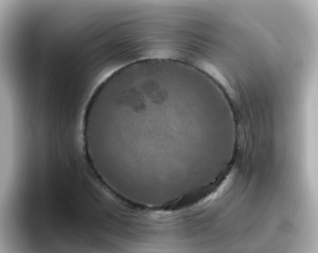 X0000096681071200802121207