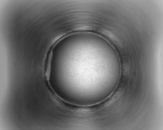 X0000096681073200802121207