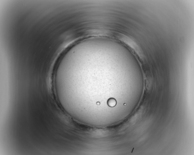 X0000096681074200802121207