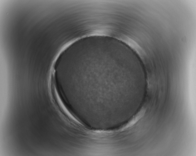 X0000096681077200802121207