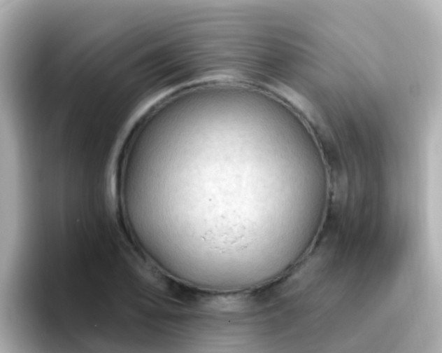 X0000096681078200802121207
