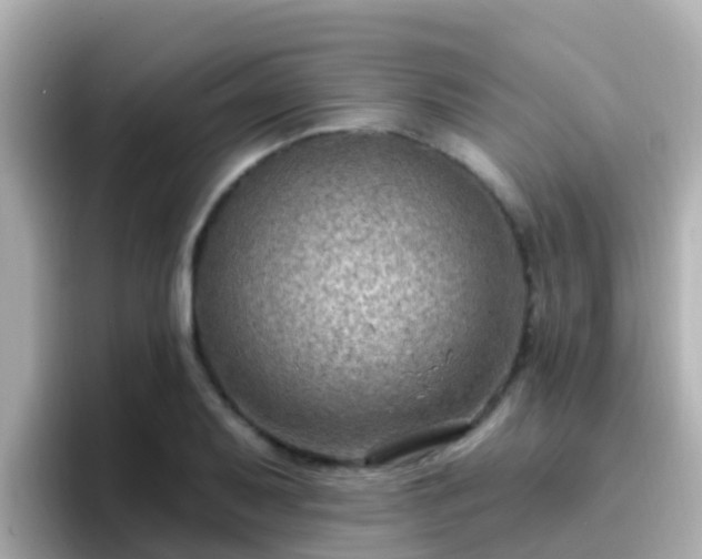 X0000096681079200802121207