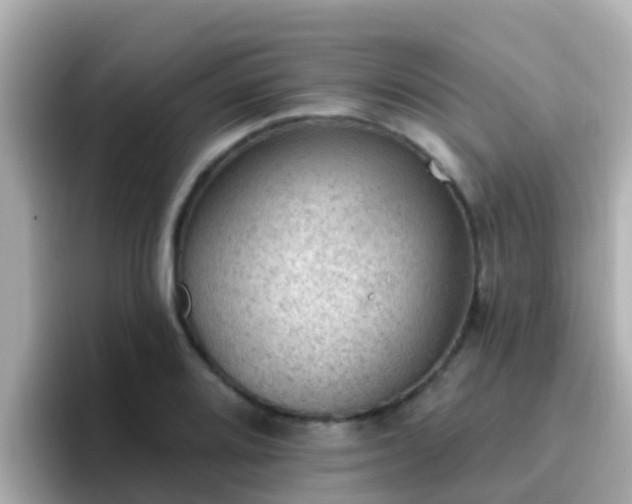 X0000096681080200802121207