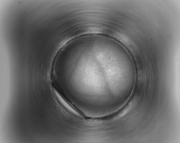 X0000096681081200802121207