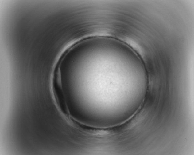 X0000096681085200802121207