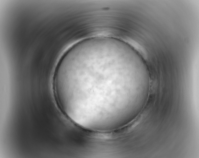 X0000096681086200802121207