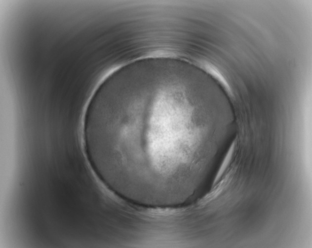 X0000096681087200802121207
