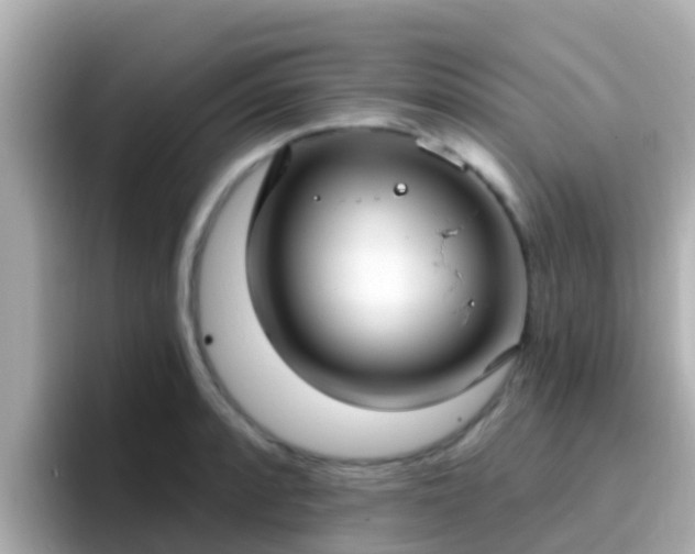 X0000096681088200802121207