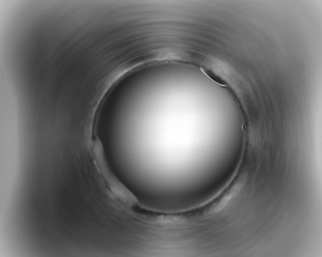 X0000096681089200802121207